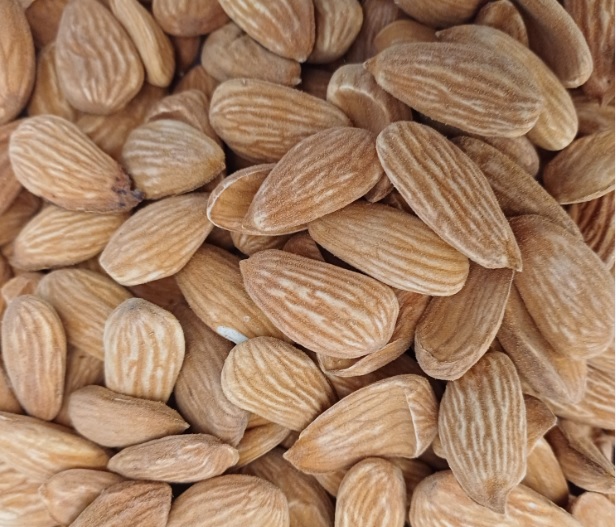 خرید و قیمت مغز بادام مامایی 110 دانه